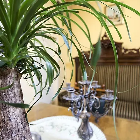 Apartment Luna Novi Sad